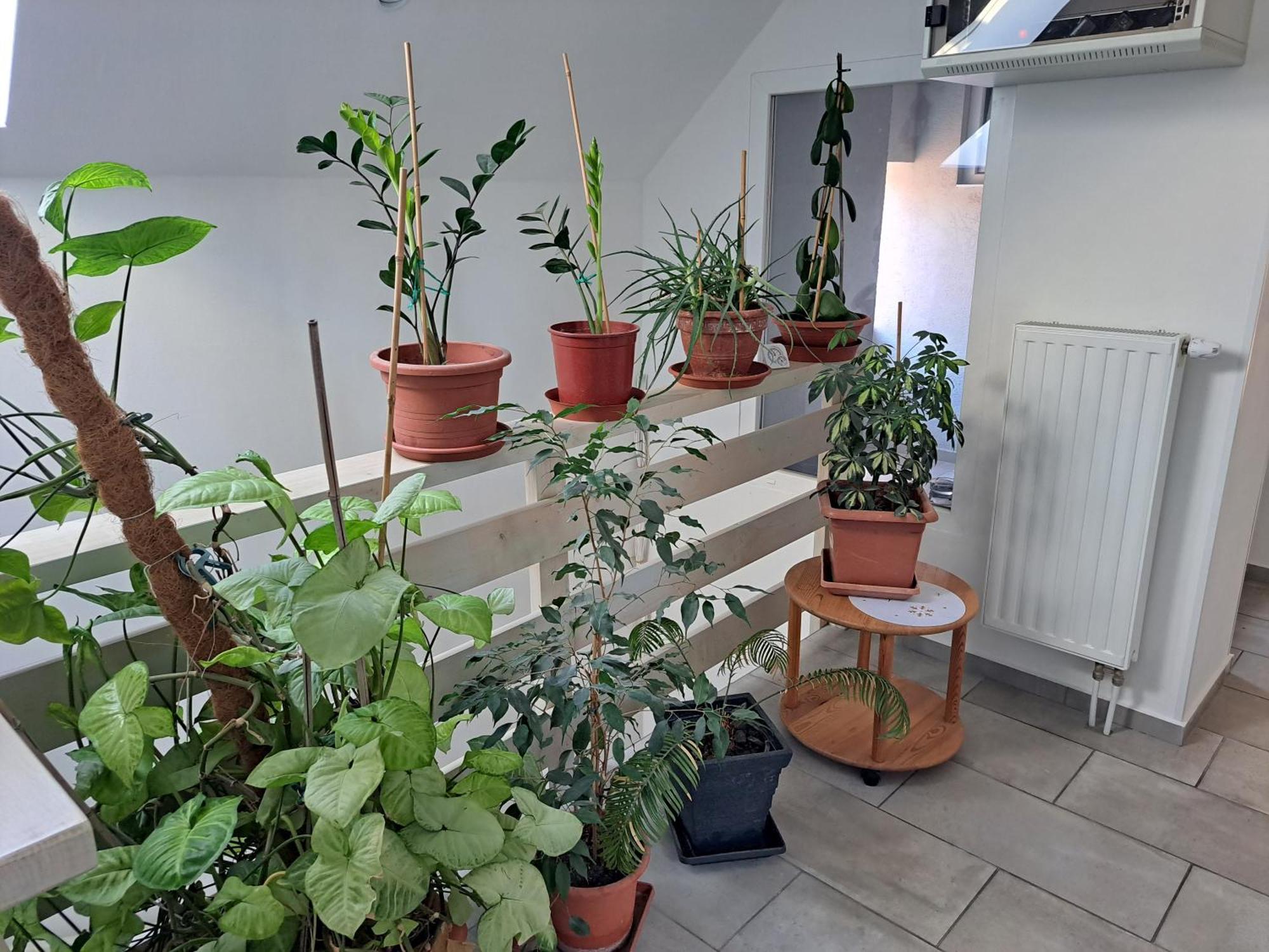 Apartmány Amália Piest'any Exterior foto